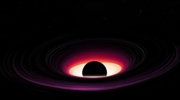 2D Black Hole Project